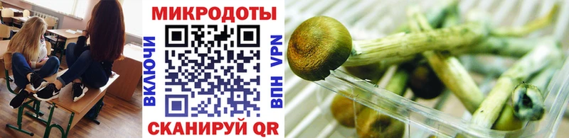 Галлюциногенные грибы Psilocybine cubensis Саяногорск